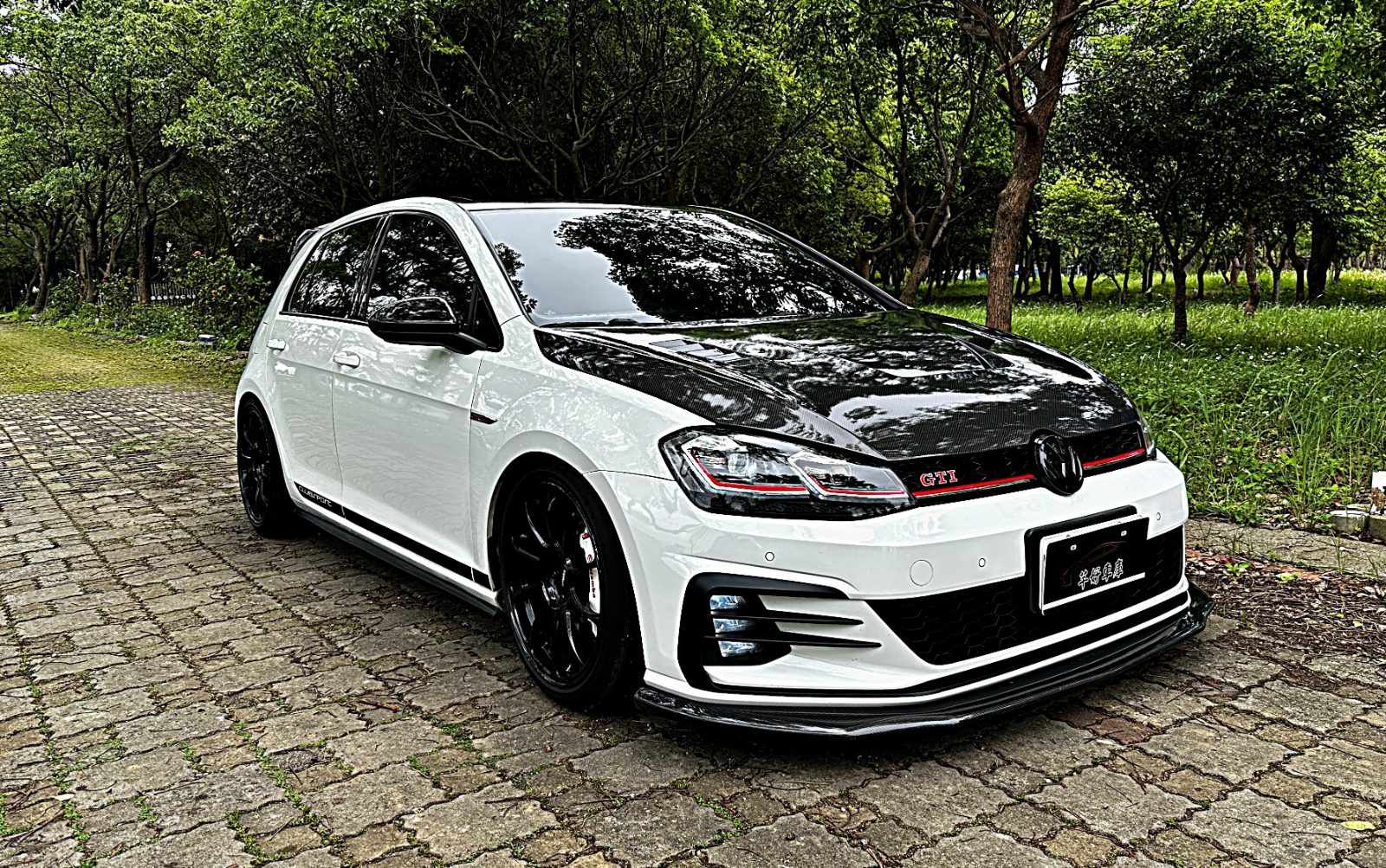 2014 Volkswagen GTI Golf GTI Photo 9